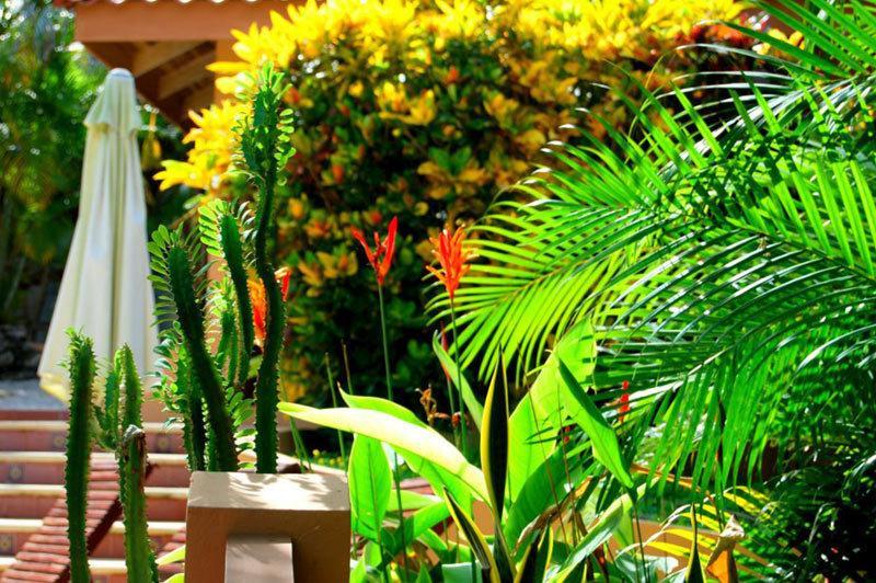 Hotel Ritmo Tropical Playa Santa Teresa  Экстерьер фото